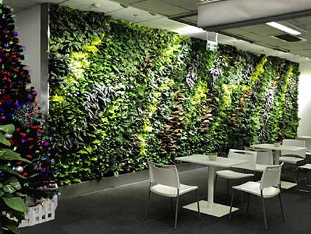 绿植墙—设计、施工、养护一站式服务!绿植墙,选绿源围墙,绿植绿化,专业施工,墙面绿化墙,植物绿化墙,服务好,可上门安装,免费养护！
